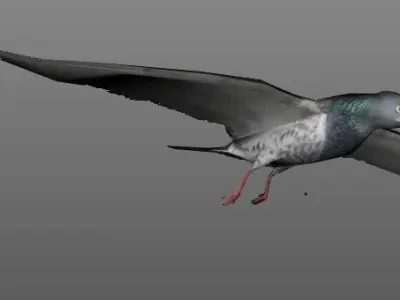 Bird1 with animations Low-poly 3D model