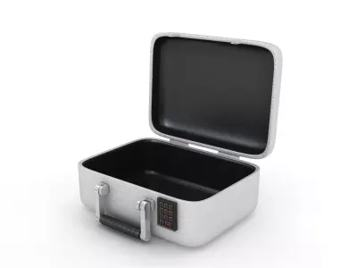 Rugged Security Case Nickel Platet 3D model