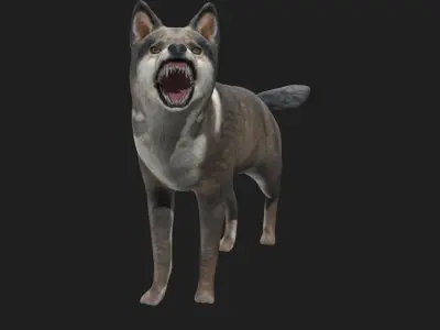 Wolf animal Low-poly 3D model