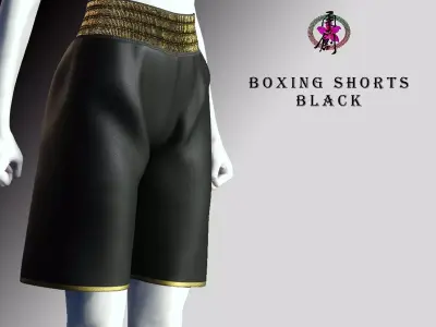 Boxing Shorts - Black Low-poly 3D model
