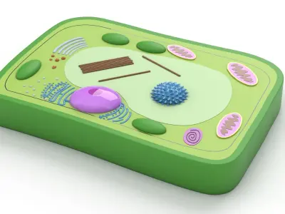 Plant Cell 3D model