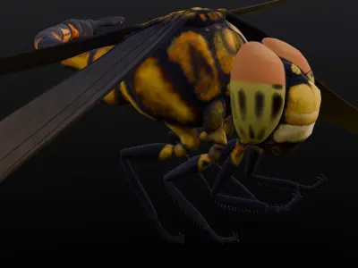 Dragonfly Animated 3D Model Low-poly 3D model