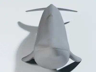 whale 3D model purchase