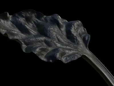 Rhubarb 3D model
