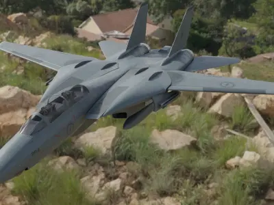 F14 TOMCAT 3D model by jedidaichi