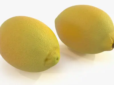 Lemon and Lime Collection 3D model