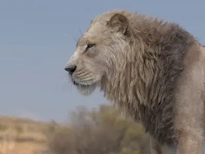 Lion 3D model