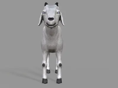 White Goat Low-poly 3D model