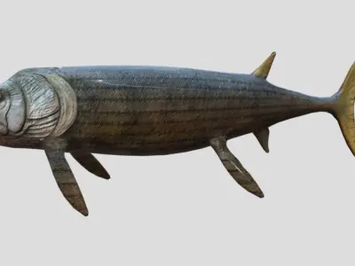 Xiphactinus Low-poly 3D model