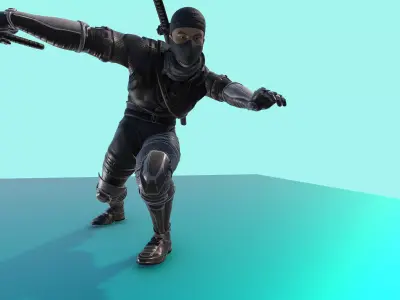 Ninja Fighter Animated With 54 Animations Game Ready Low-poly 3D model