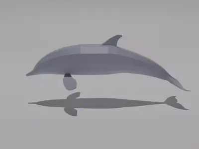 Dolphin Low-poly 3D model buy