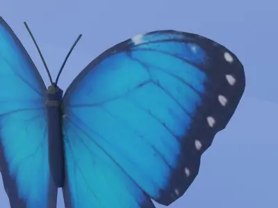 Blue Morpho Butterfly Low-poly 3D model