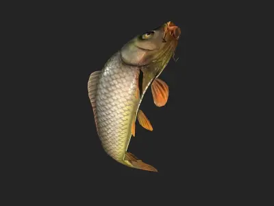 animated carp fish Low-poly 3D model