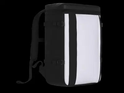 Modern Black-White 3D Back Pack Model 3D model