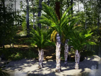 Vulnerable Plant - 6 Raphia australis Conifer Fruit Tree Low-poly 3D model