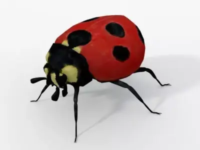 Ladybug Low-poly 3D model buy