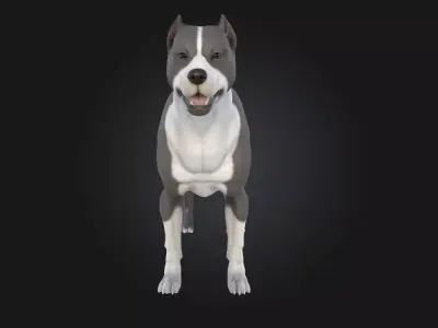 Smiling Pup Cute Dog Model  3D model