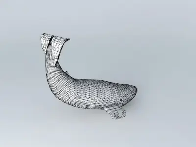 Blue whale Free 3D model