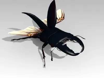 Giant Stag Beetle Low-poly 3D model