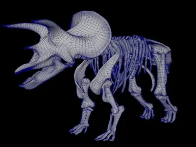 Triceratops dinosaur skeleton 3D model