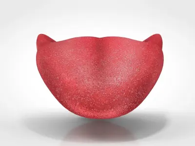 Tongue lip Low-poly 3D model