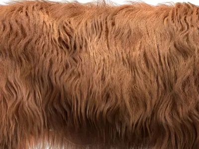 Highland Cow (Rigged) 3D model
