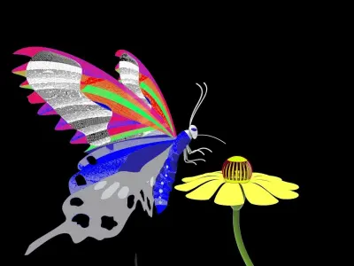 Butterfly 3D model 6