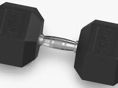 Rubber Dumbbell 30kg 3D model