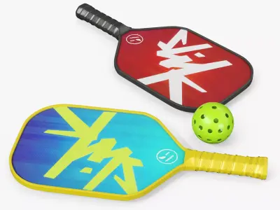 Pickleball Paddle Set with Ball and Rackets 3D model