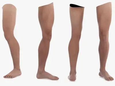 Male Athletic Leg 3D model purchase