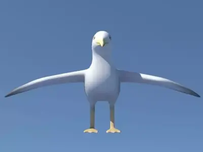 Seagull on sky Low-poly 3D model