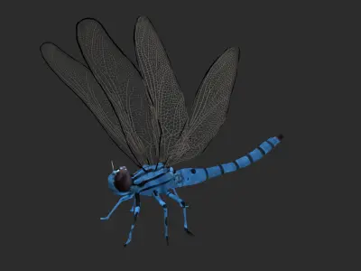 Dragonfly Low-poly 3D model