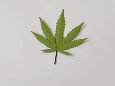 Cannabis Leaf 3D model