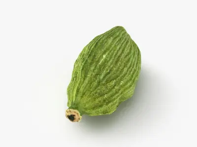 Green Cardamom Collection 3D model
