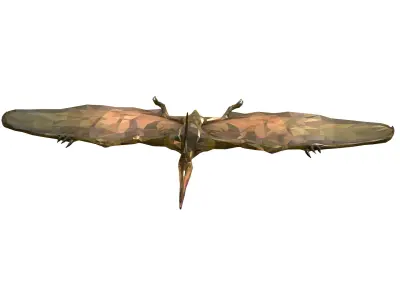 Dinosaur Pteranodon LowPoly Art Low-poly 3D model
