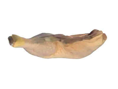 Photoscan Photogrammetry Chicken Leg Thigh Food 4k 3D model