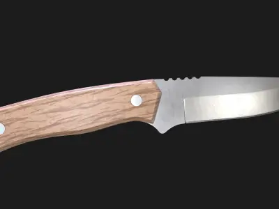Kitchen Knife Wooden Handle Low-poly 3D model