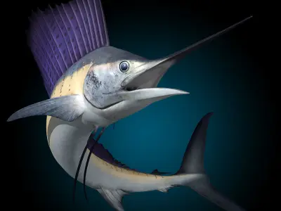 Sailfish 3D model purchase
