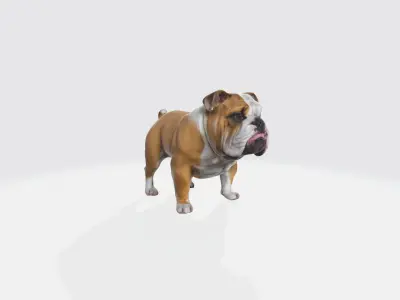 3d Rendering High Resolution Bulldog 3d Modern Trendy Model  3D model