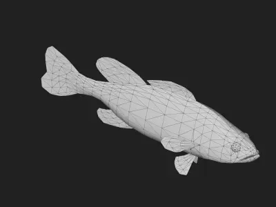 Spottedbass Low-poly 3D model