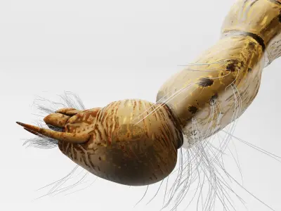 Mosquito larvae 3D model