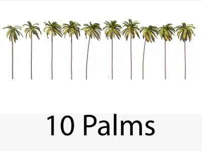 Palms 011-020 with LODs 3D model