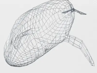 Irrawaddy Dolphin Low-poly 3D model