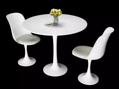 leisure Modern chair with table 3D model