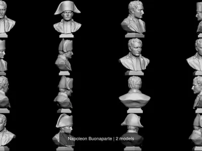 Napoleon Buonaparte 3D Model Pack