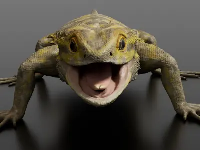 Bearded Dragon 3D Model