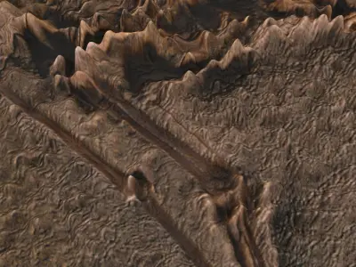Pterodactyl Fossil 3D model