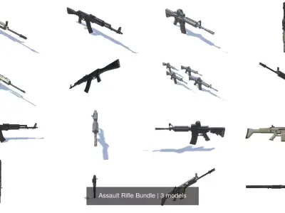 Assault Rifle Bundle 3D Model Pack