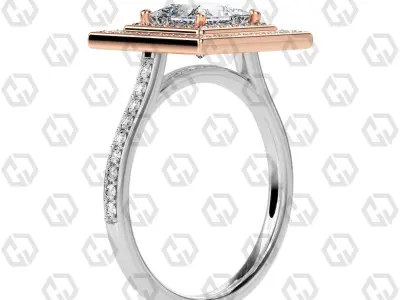 Ring 208 Princess Shape Cathedral Double Halo pave set with Gems 3D print model