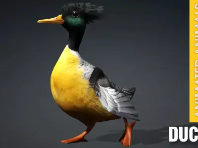 Duck B1 Free 3D model
